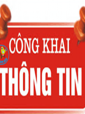 Công khai tài chính ngày 27/4/2021